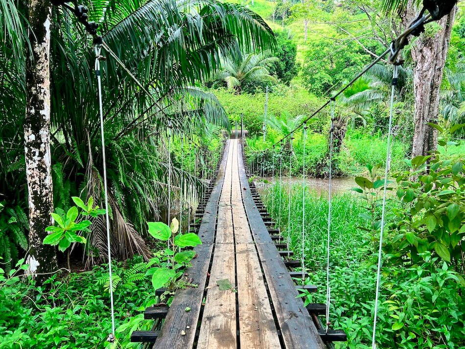 costa-rica-drake-bay-trail